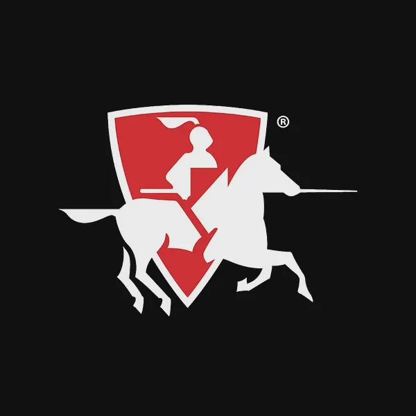 Logo of lochinvar.com