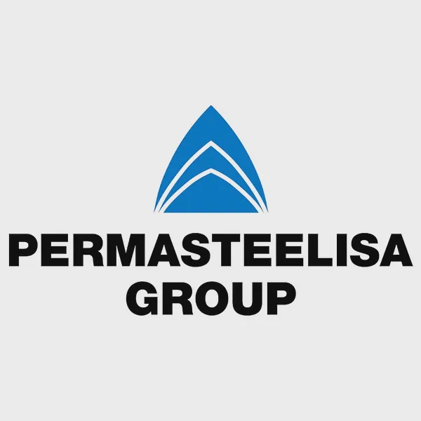 Logo of scheldebouw.com