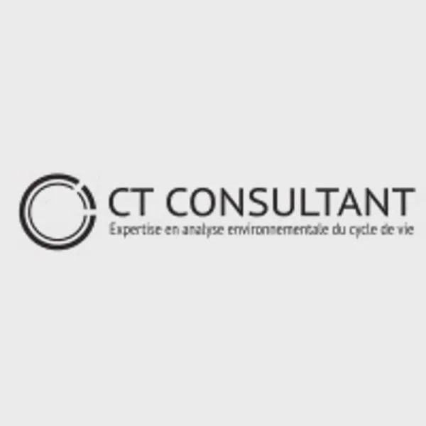 Logo of ctconsultant.ca