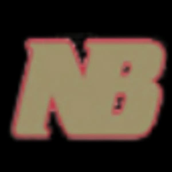 Logo of newtonbrook.com