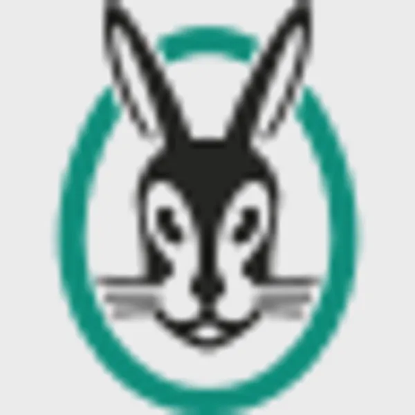 Logo of vaillant.com