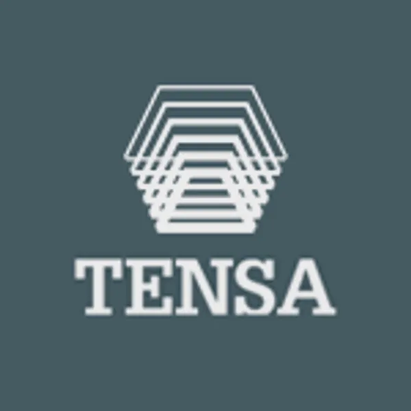 Logo of tensacciai.it