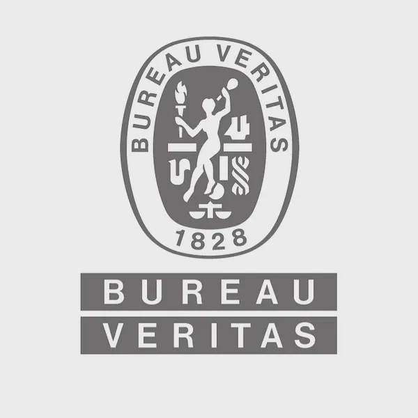 Logo of bureauveritas.com