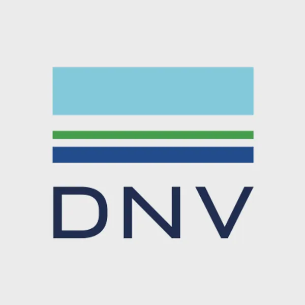 Logo of dnv.com