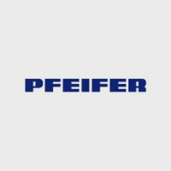 Logo of pfeifer.info