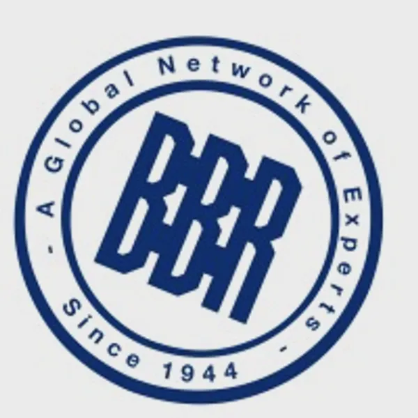 Logo of bbrnetwork.com
