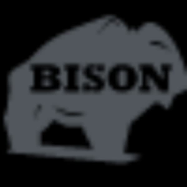 Logo of bisonip.com