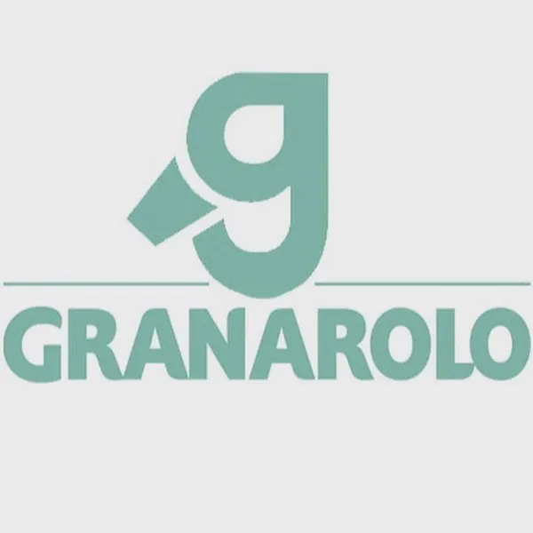 Logo of granarolo.it