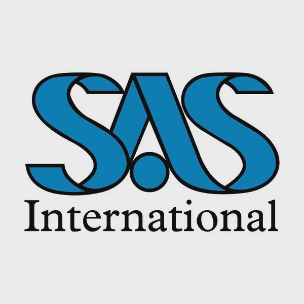 Logo of sasintgroup.com