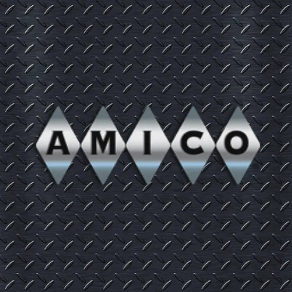 Logo of amicoglobal.com