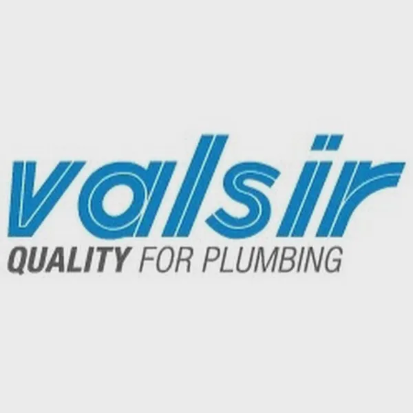 Logo of valsir.it