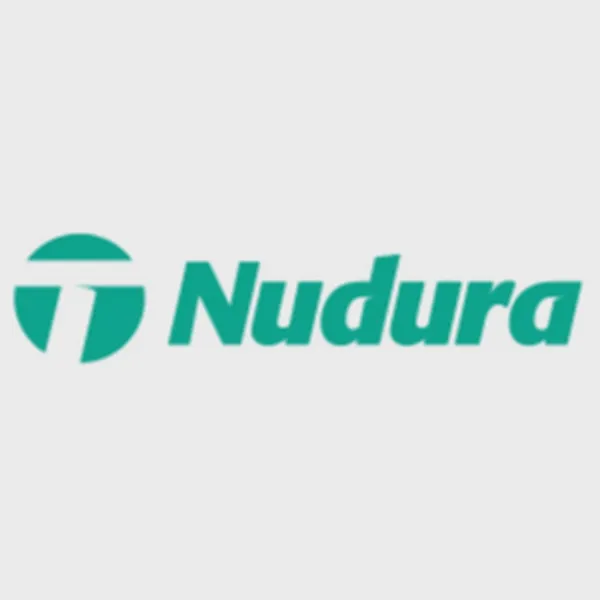 Logo of nudura.com