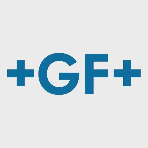 Logo of georgfischer.com