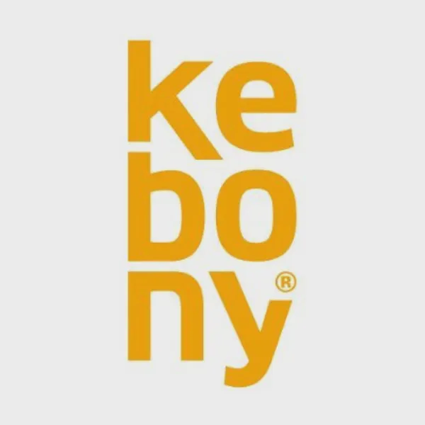 Logo of kebony.com