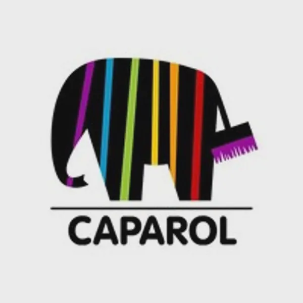 Logo of caparol.de