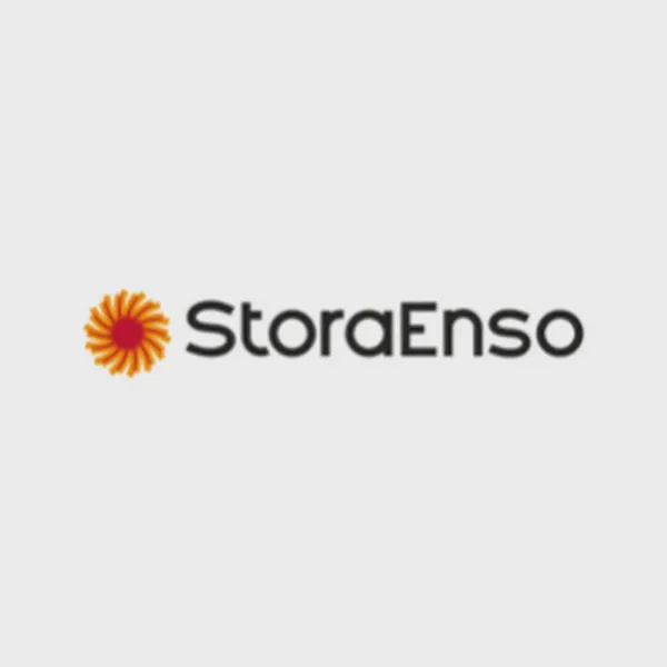 Logo of storaenso.com