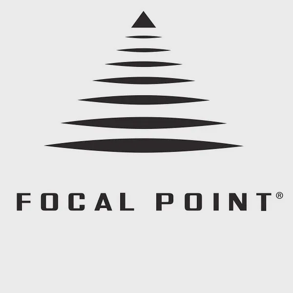 Logo of focalpointlights.com