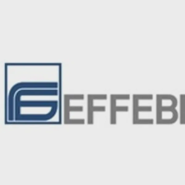 Logo of effebi.com