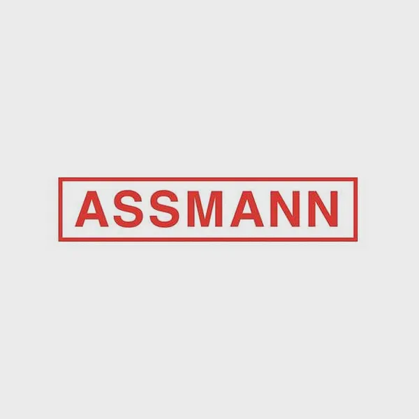 Logo of assmann.de