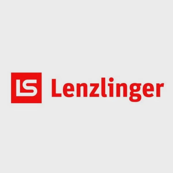 Logo of lenzlinger.ch