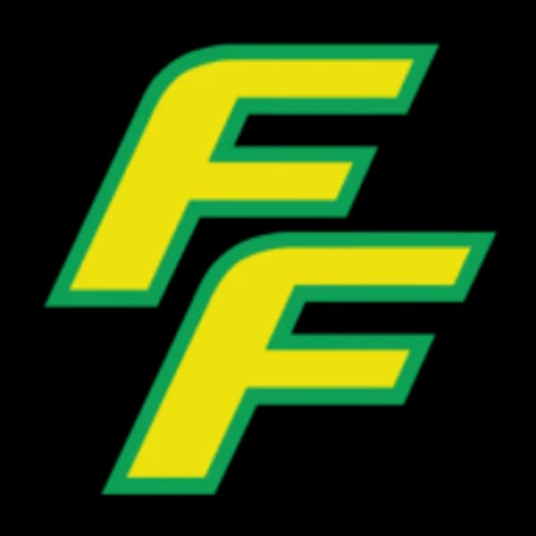 Logo of finnfoam.com