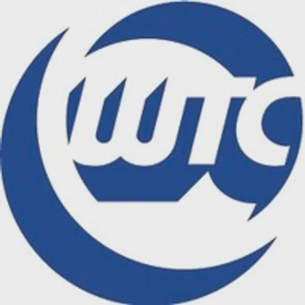 Logo of westerntube.com