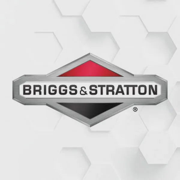 Logo of briggsandstratton.com