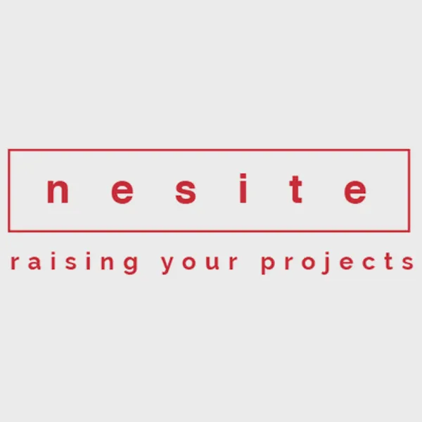 Logo for nesite.com